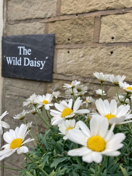 The Wild Daisy Holiday home